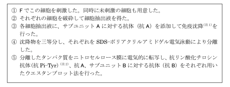 解説画像